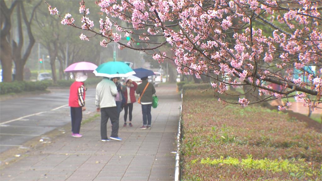 好天氣掰了「半個台灣降溫」有雨！下週變天「伴隨劇烈天氣」雨彈炸5天