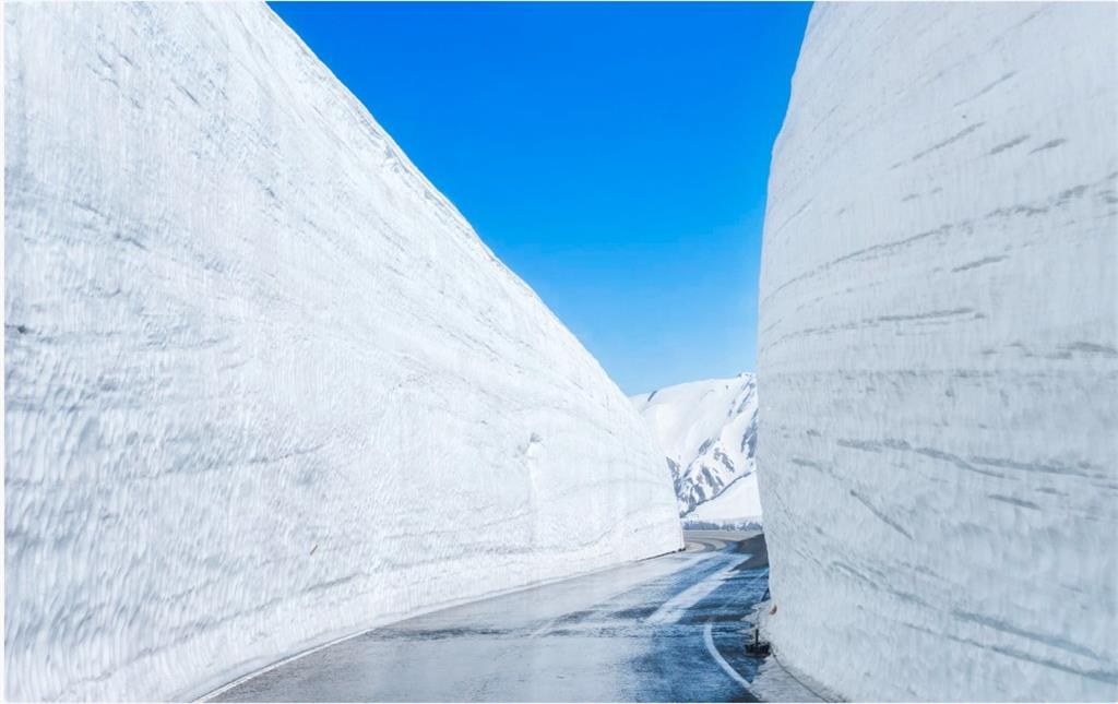 冬天賞雪也賞梅！日本「偕樂園」梅花季開跑　富山縣立山黑部忙除雪