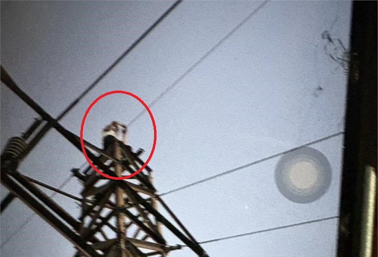 幫友人拍網美照爬高壓電塔...下秒觸電慘死！生前最後身影「留在她手機裡」