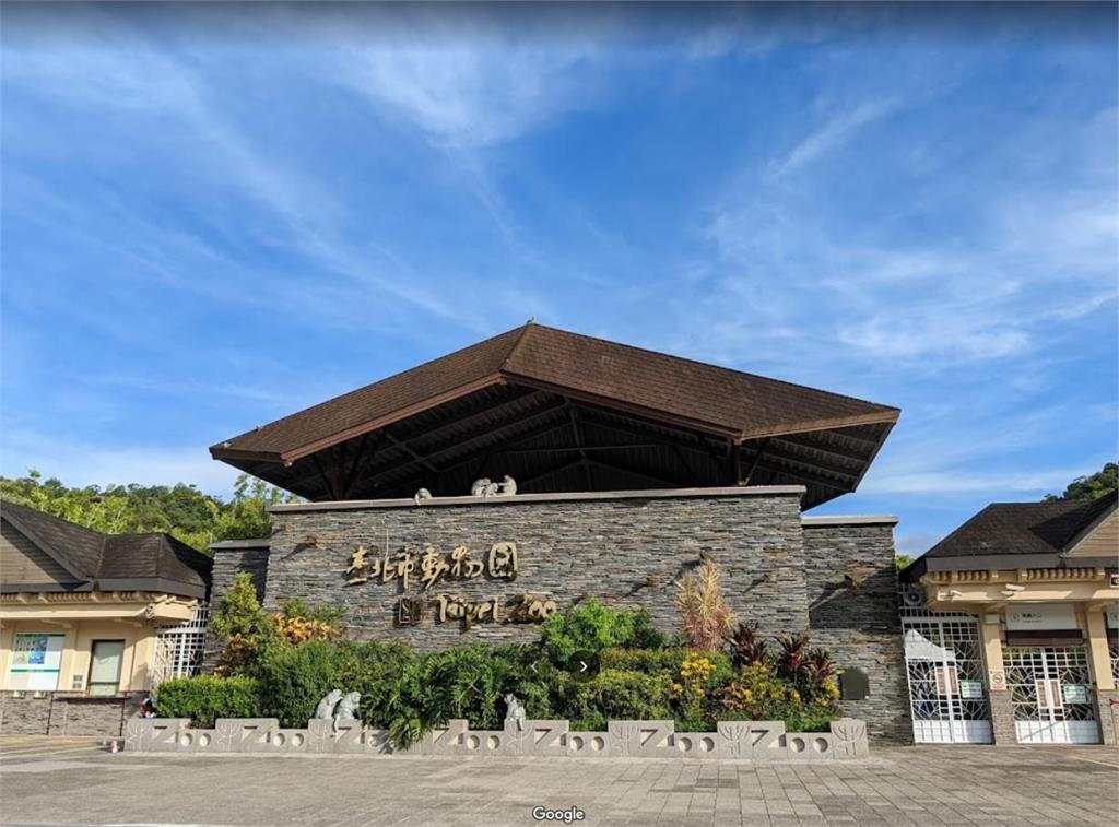 快新聞／木柵動物園驚傳意外！　女技工鋸木時遭砂輪機捲入