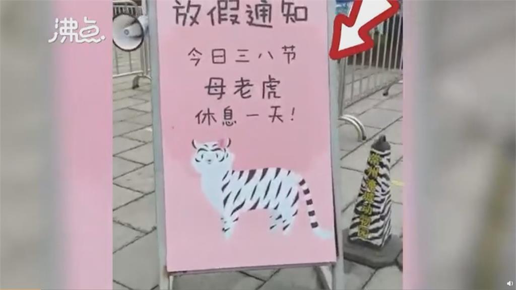 三八婦女節  中國動物園母老虎也放假1天
