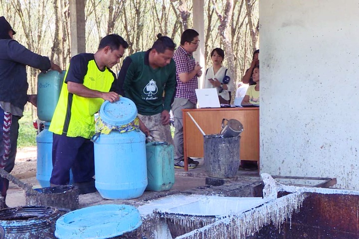 「另類白金」 泰國橡膠產業鏈大公開！
