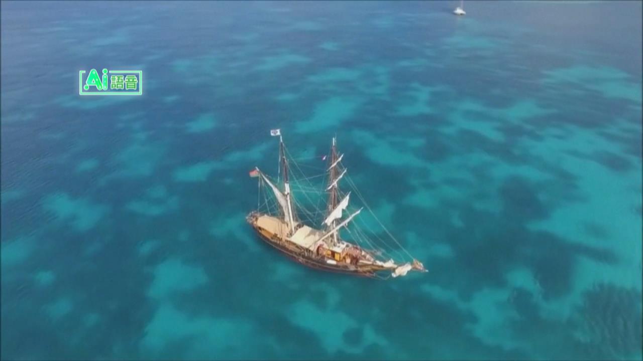 純靠風力！荷蘭帆船運咖啡　近零排放打造永續航運