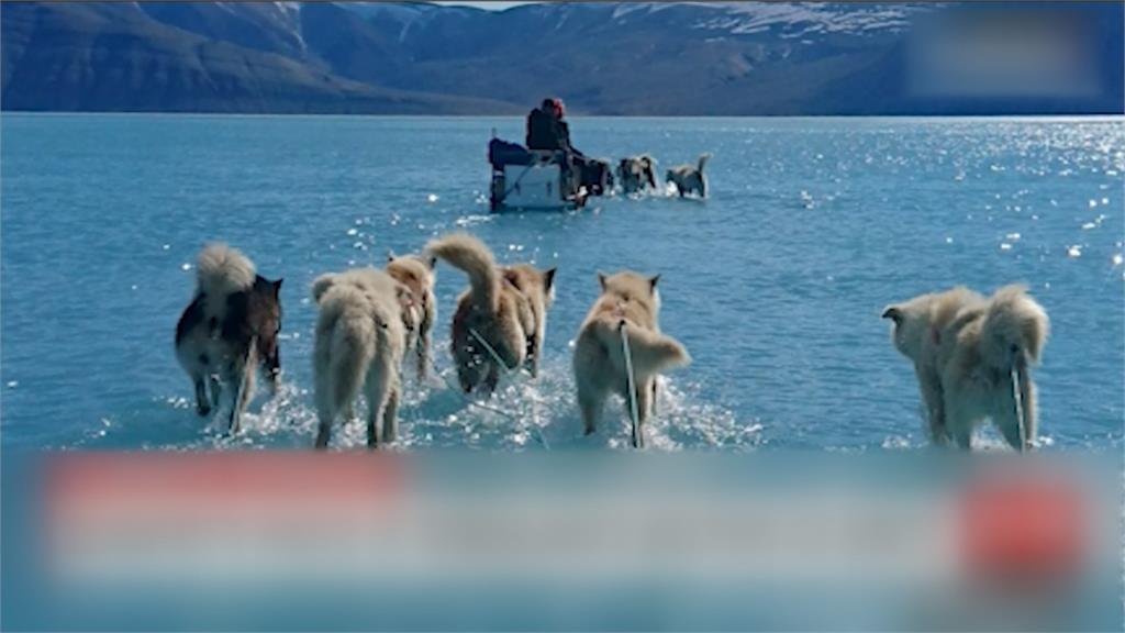 狗在水上拉雪橇？格陵蘭近20億噸冰一天融化