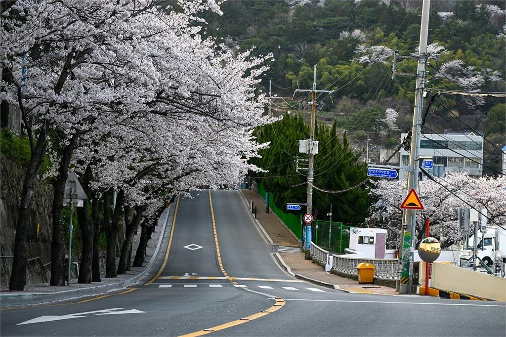 快新聞／遊韓注意！釜山西部4地「臭氧超標」　恐影響環境、健康