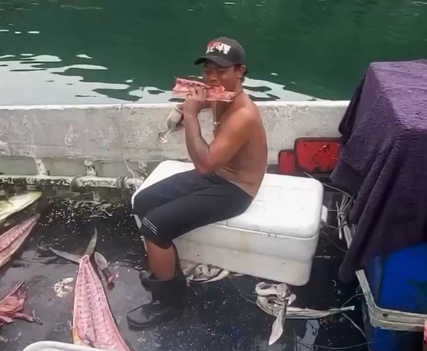 生魚片未去骨直接啃　外籍移工讚：非常好吃
