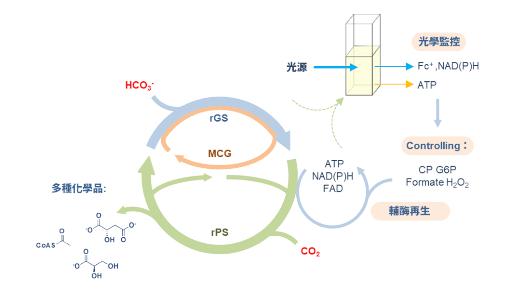 中研院打造人工固碳循環途徑　效率更勝光合作用