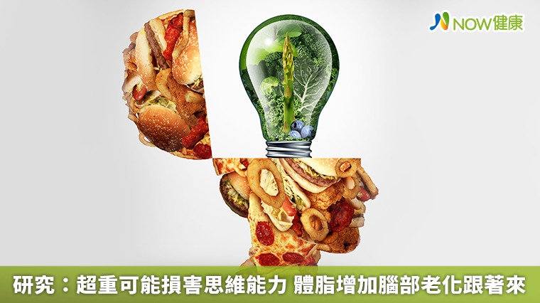 研究：超重可能損害思維能力　體脂增加腦部老化跟著來