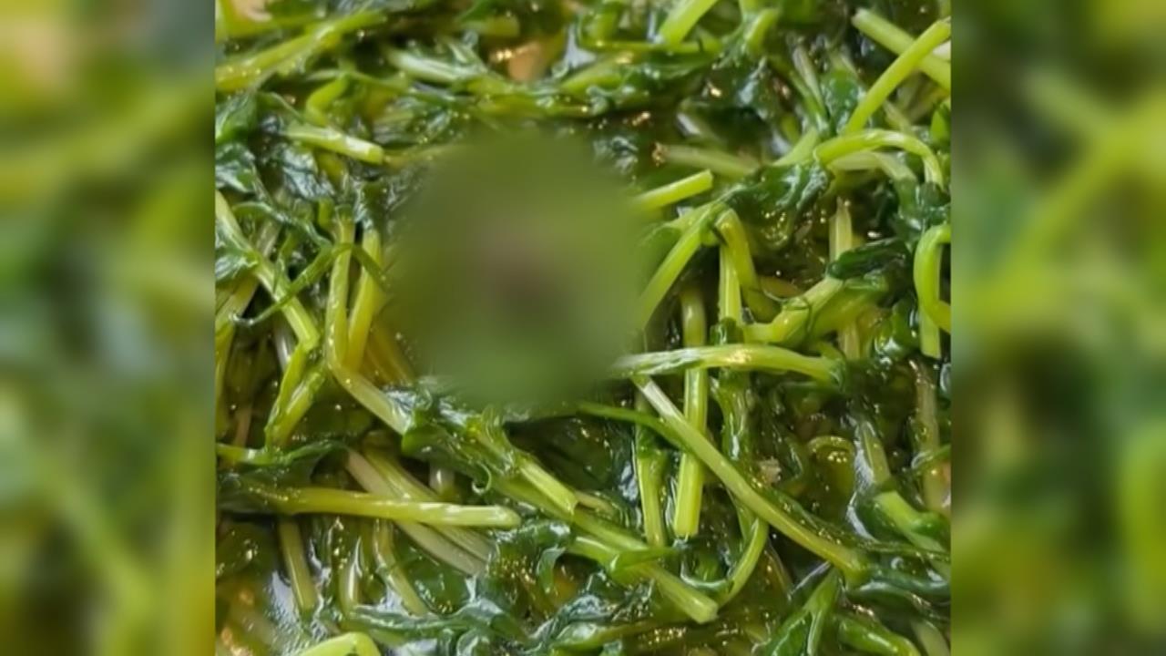 噁!東區港式餐廳吃到小強 業者致歉後竟問要不要「甜湯漱口」