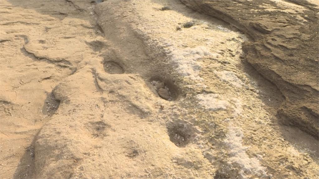 北非最古老腳印摩洛哥出土　發現10萬年前人類<em>足跡</em>！學者推測他們在做這事