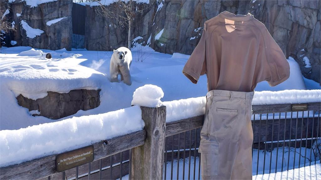 冰天雪地玩創意！美「急凍長褲」上演動物園歷險記