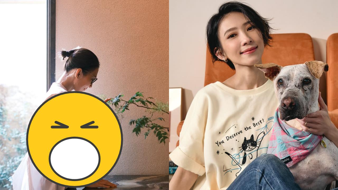 消失螢光幕多年！48歲戴佩妮露面「挺驚人孕肚」粉絲急喊恭喜真相曝光