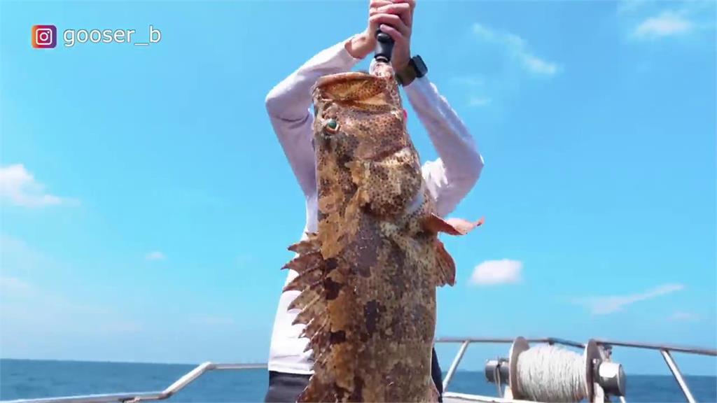 釣魚達人到檳城旅釣！運氣爆棚遇怪物級大魚　體積竟有他一半身長