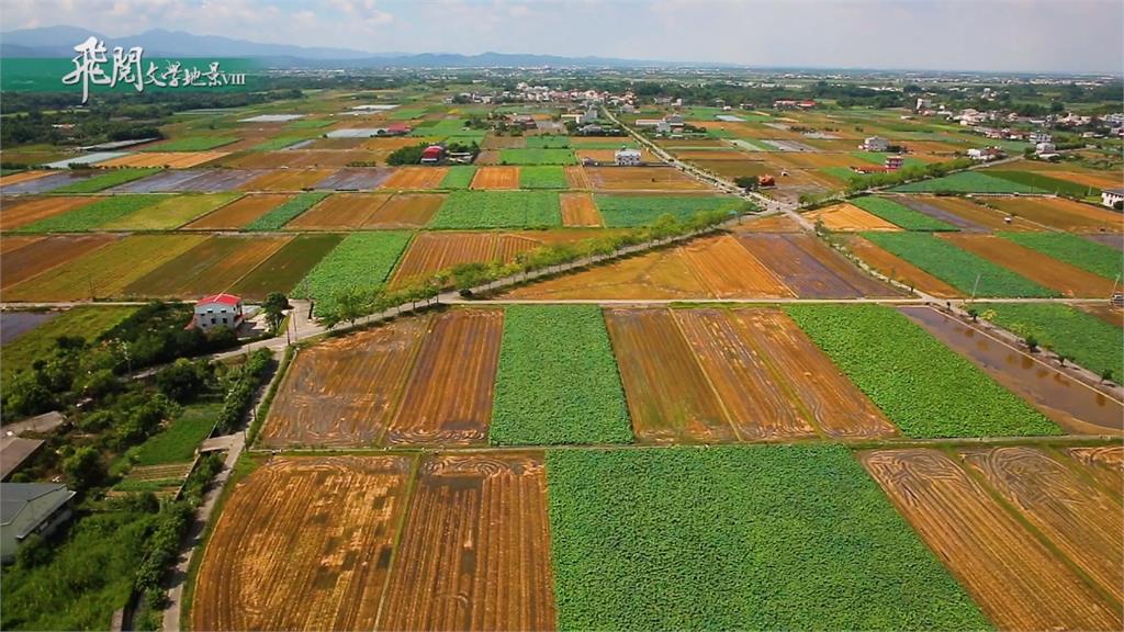 台南白河 一起走進廣闊的蓮田｜飛閱文學地景 Ep 13