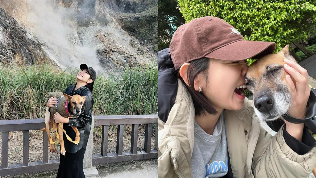 陪伴13年愛犬錢錢胃癌病逝懷中！米可白憶106天點滴含淚吻別：等你回來