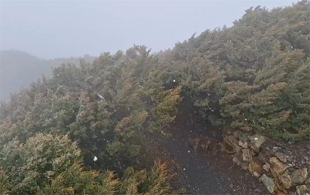 玉山「絕美畫面」曝光　片片白雪飄落超夢幻