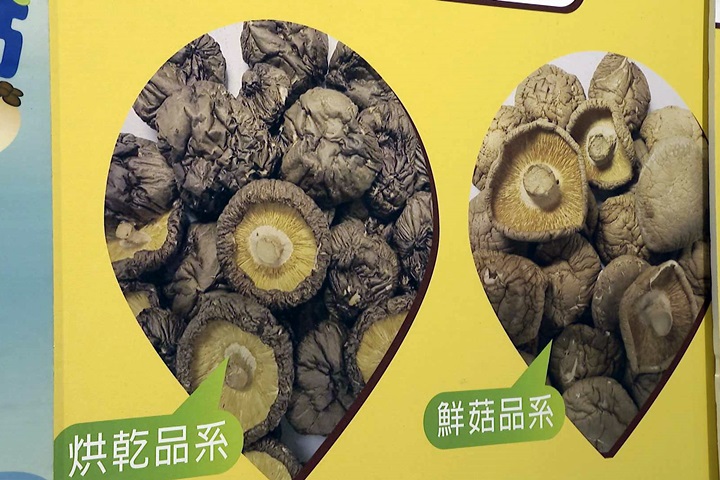 中國香菇借名上市 菇農批政府把關不力