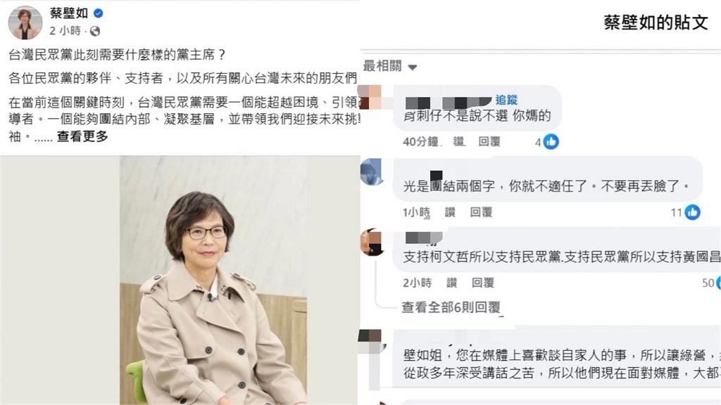 快新聞／蔡壁如PO文列3大黨主席特質　百名網友留言怒罵：背骨仔不要再丟臉了！