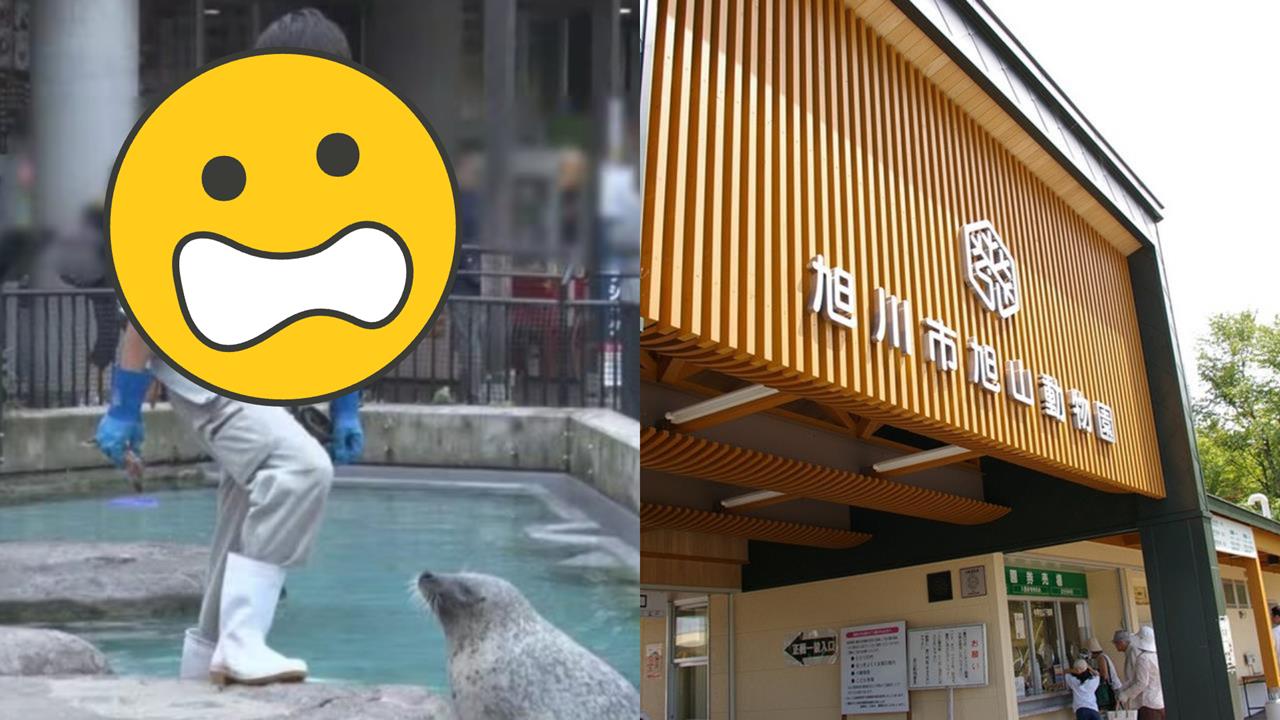 飼育員「扛妻丟焚化爐」跟動物燒一起!監視器全都錄…竟怪她:懷疑偷吃