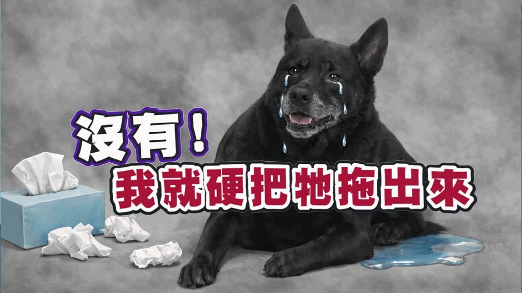 陳志強《醫學大聯盟》「黑秀」性格大變？醫：「閃尿」背後的創傷恐懼