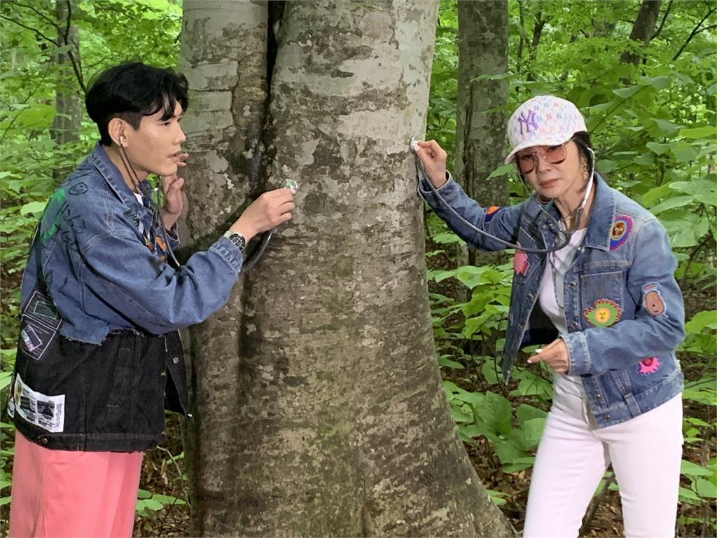用聽診器聽「百年大樹的心底聲音」!陳美鳳「人生中要有一次跟大自然融為一體」