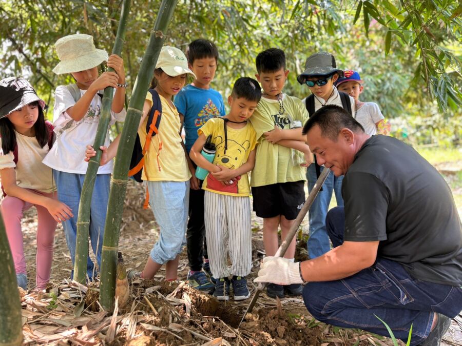 木柵農會攜雙月「推母親節限定」　主打在地綠竹筍＋鐵觀音茶