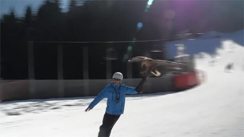 阿爾卑斯山滑雪勝地雪況不佳　搬夏天玩法！馬拉滑雪客成觀光賣點