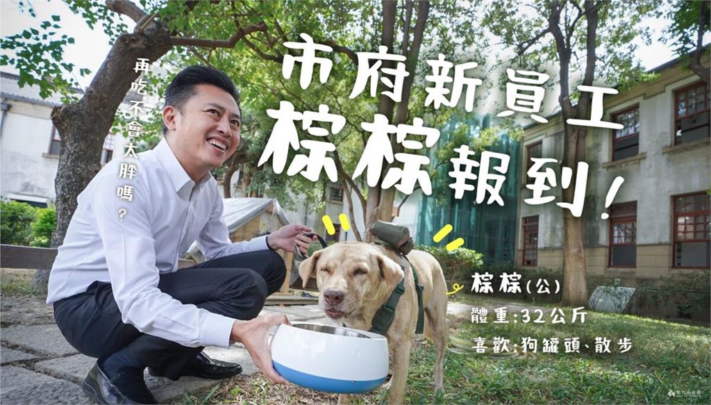 林智堅昔日「市犬棕棕」成棄犬？高虹安證實：上任前已送回動保所