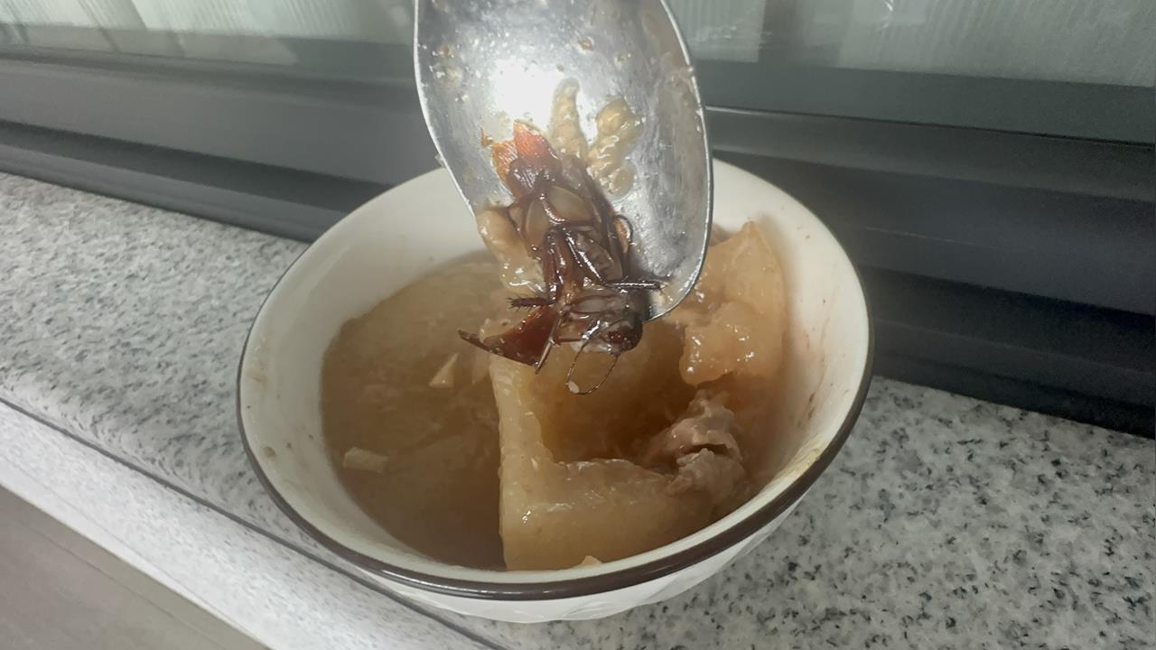 肉圓噁心加料！小強誤認紅蔥頭　民眾險吃下肚