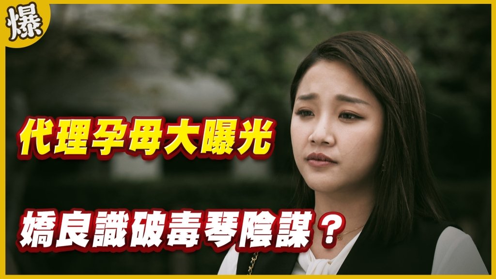 《黃金歲月-EP204精采片段》代理孕母大曝光   嬌良識破毒琴陰謀？