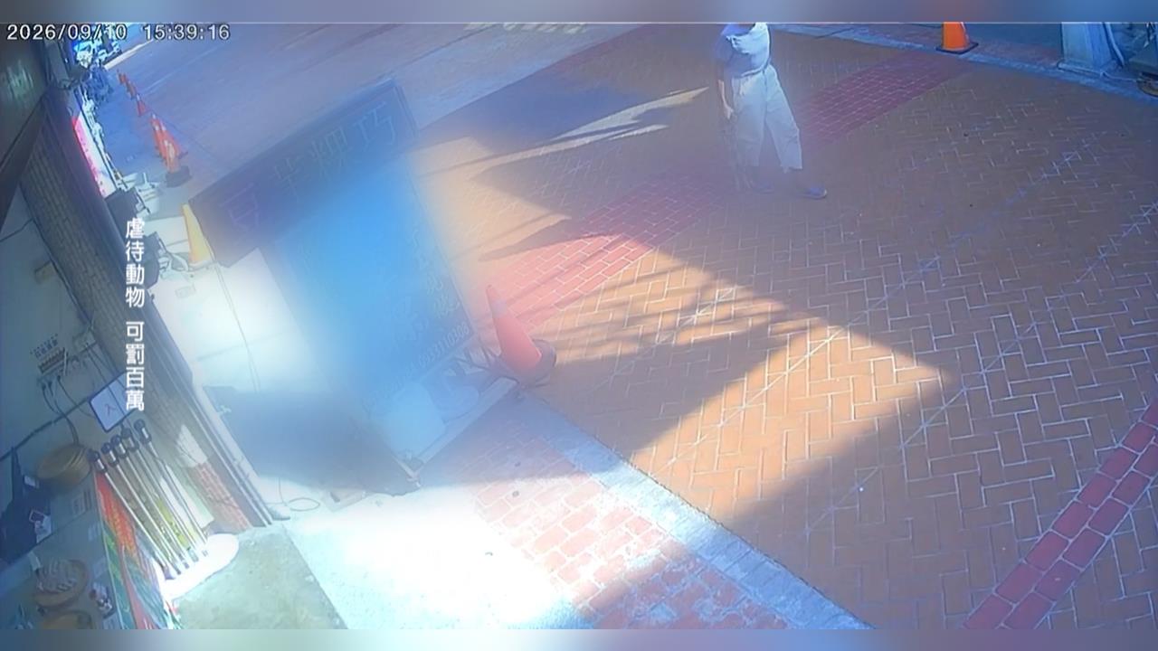 太惡劣！苗栗男拎貓街頭閒晃　聲稱「這原因」勒斃依法裁處
