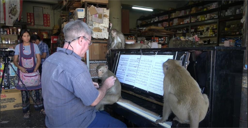 老孫也想聽音樂！旅泰鋼琴家給猴子的獨奏會