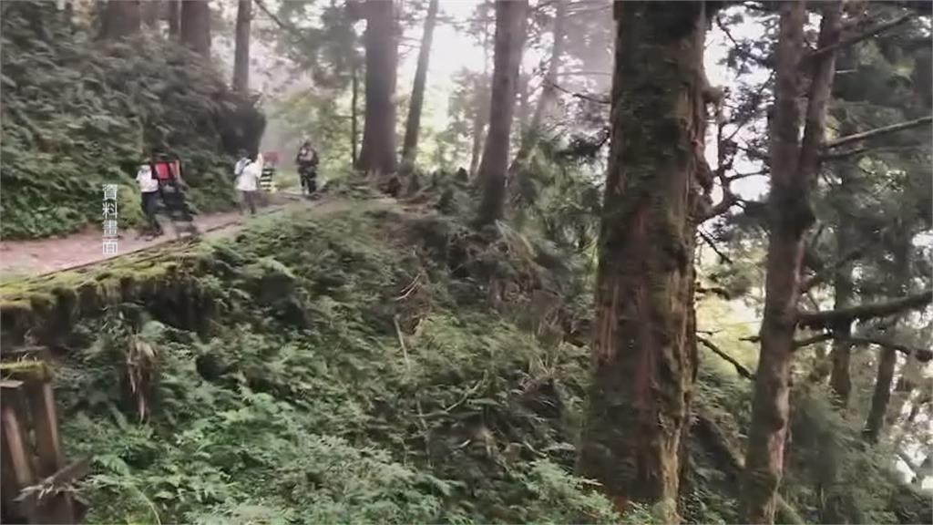 連日大雨！　太平山「見晴懷步道」土石坍方