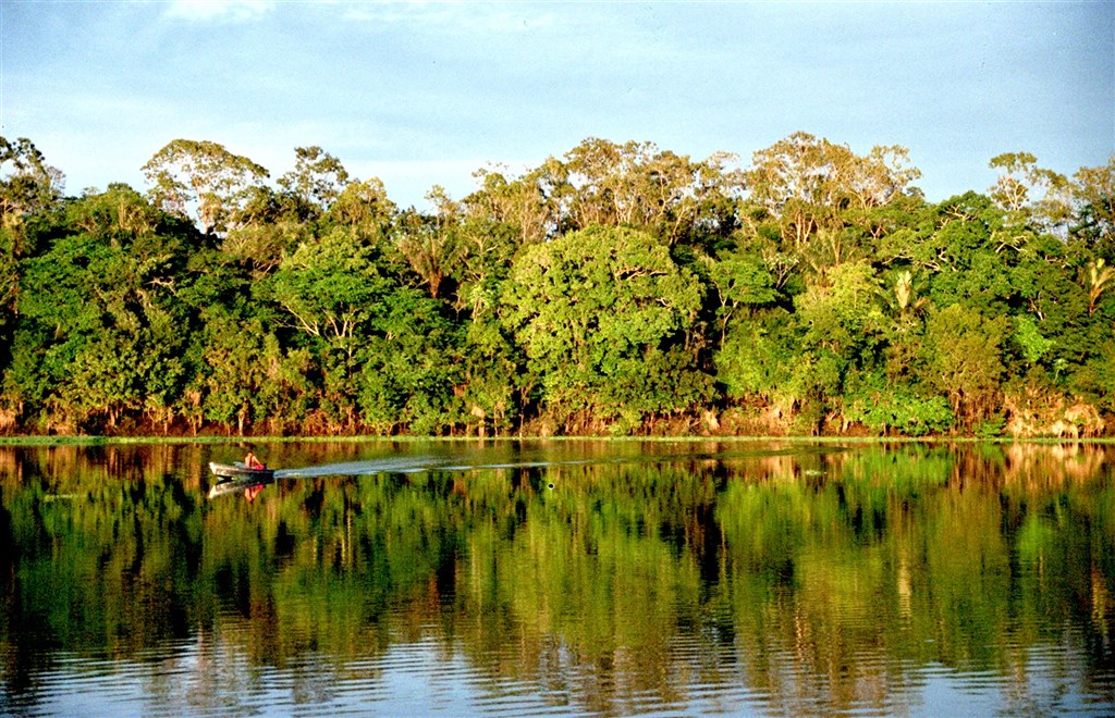 亞馬遜雨林排碳高於吸收量　地球之肺恐助長氣候變遷