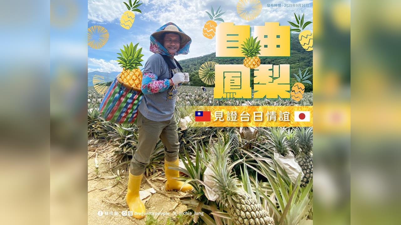 快新聞／中國封殺鳳梨！日本霸氣狂買9成挺台　林佳龍超感動：幾乎全包了
