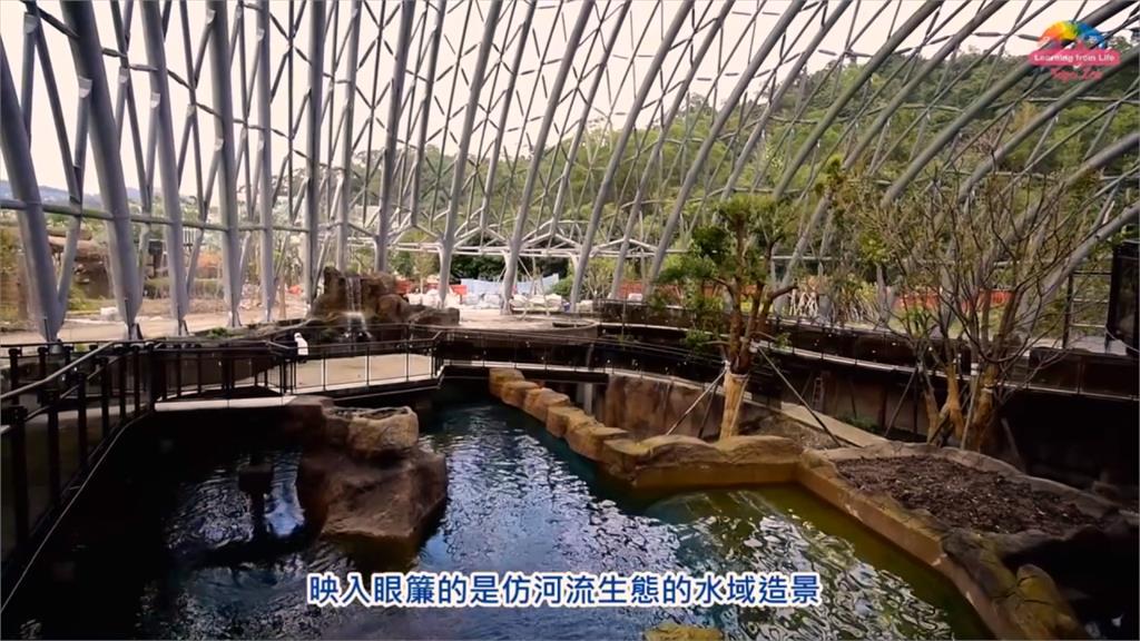 照顧大型魚種眉角多！台北動物園仿河流生態池吸睛