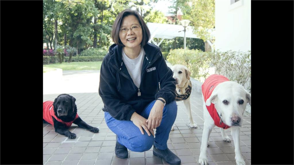 蔡英文愛犬犬Bunny過世！　等她出訪回家「互相道別才離開」