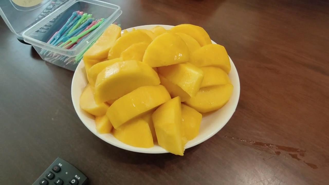 六年磨一劍！　苗栗市果農成功種出「台中一號」芒果