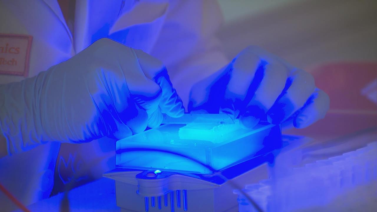 獨家／台灣生技業前進那斯達克！耀德生技王天帝：聚焦全球75%亞健康市場