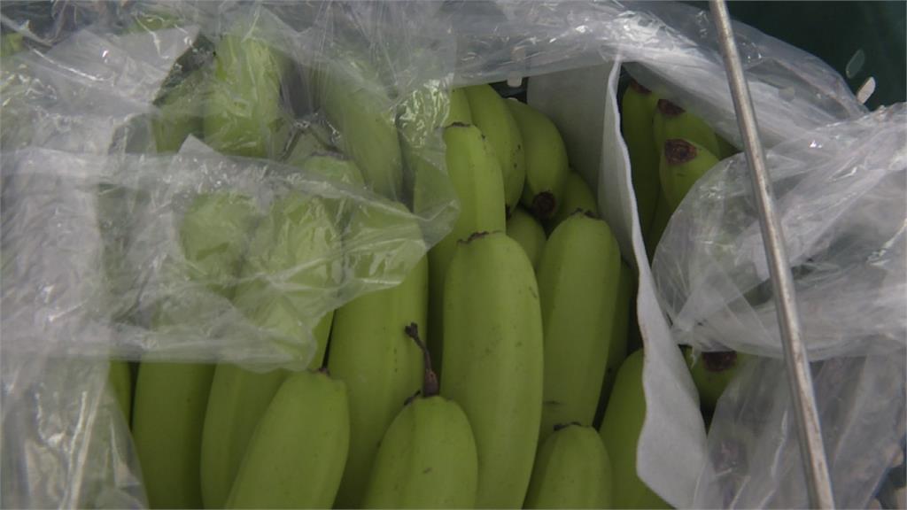 香蕉銷中東運費70賣40？農委會發新聞稿澄清