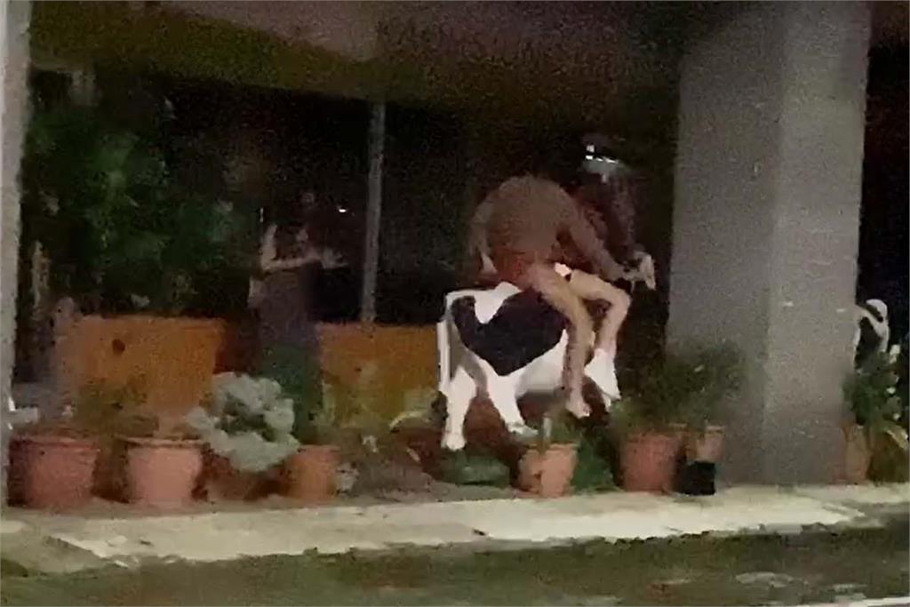 快新聞／高雄老字號牛乳大王「乳牛」被惡搞　3人男扮女裝玩嗨硬騎牛