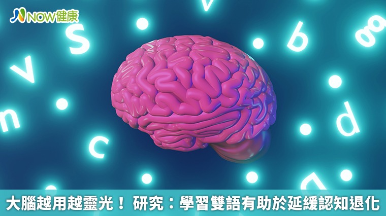 大腦越用越靈光！ 研究：學習雙語有助於延緩認知退化