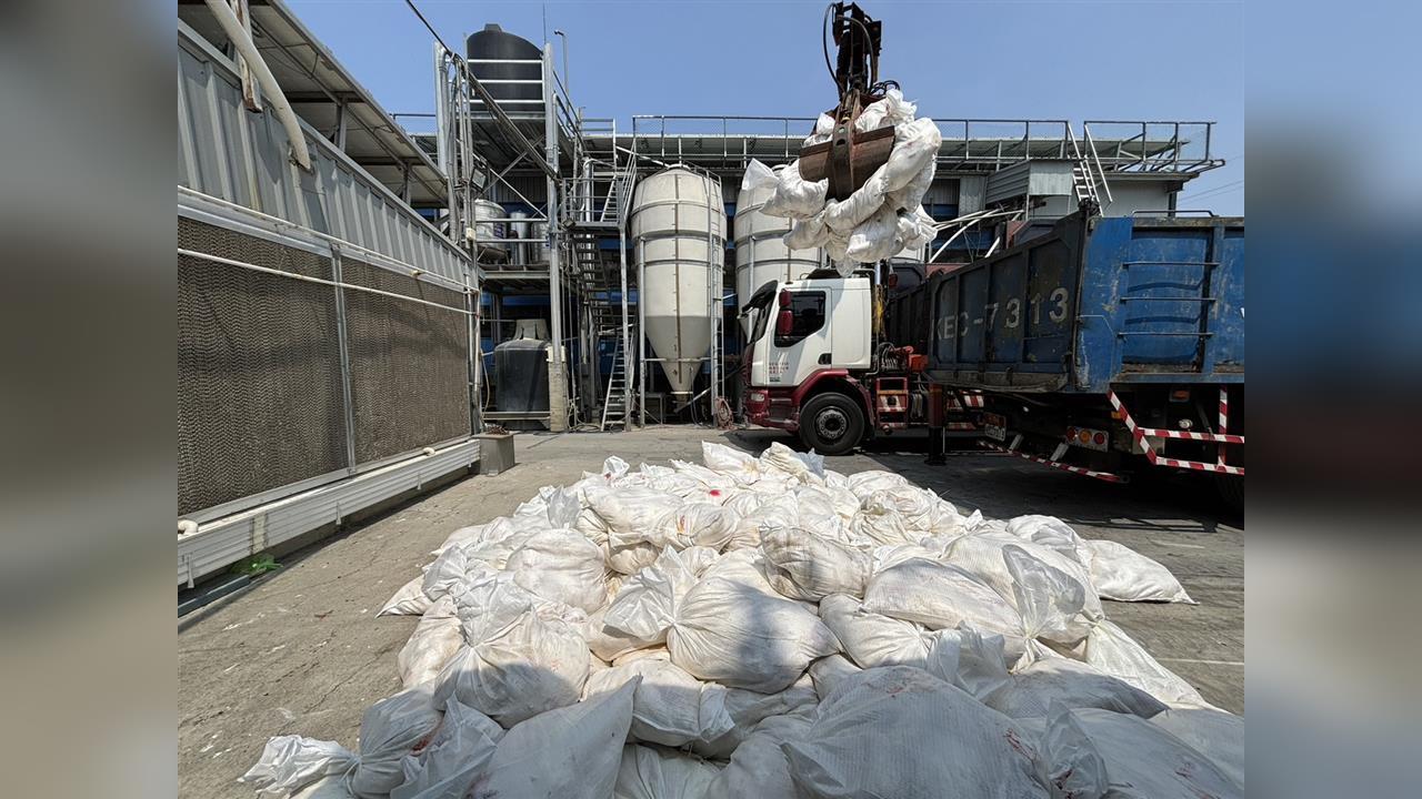 快新聞／彰化首例禽流感　芳苑鄉6萬蛋雞全面撲殺
