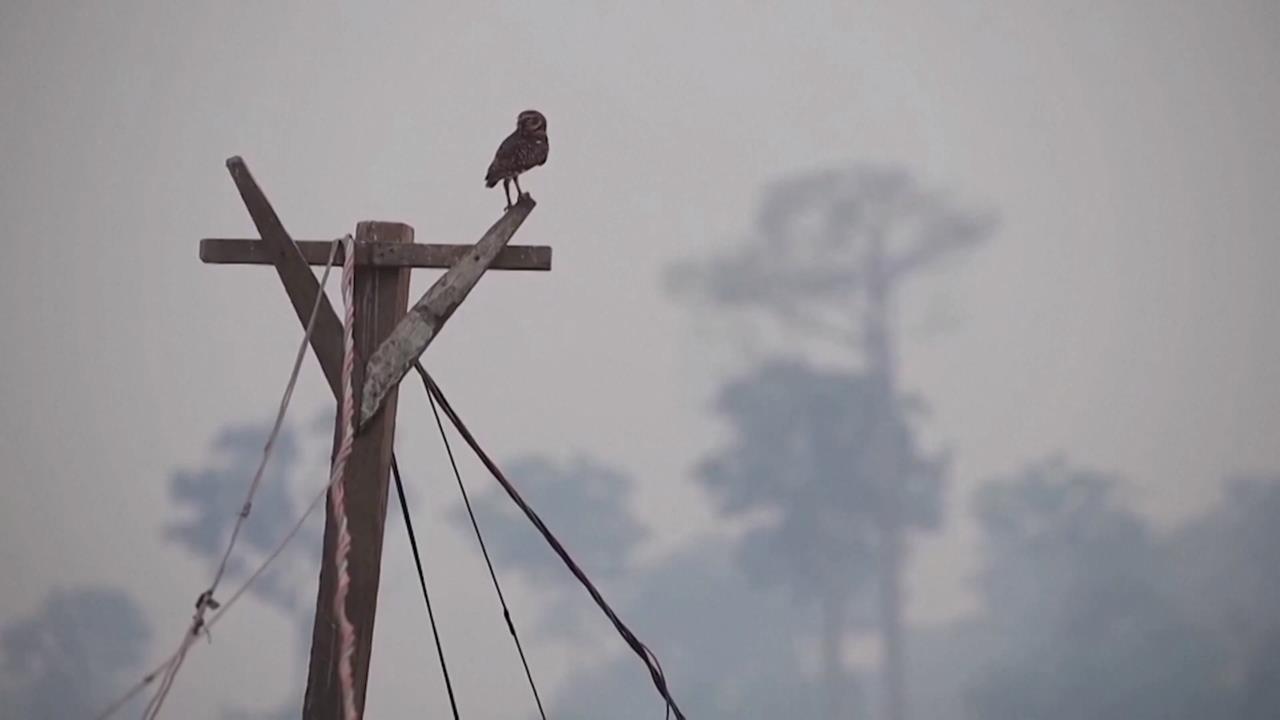 全球二氧化碳濃度創新高 聯合國示警:自1957年最高