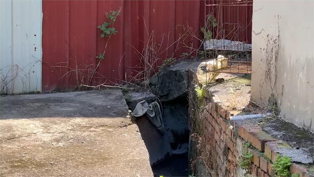 「杯墊大小」超迷你土地　起標價105元、5106元標出