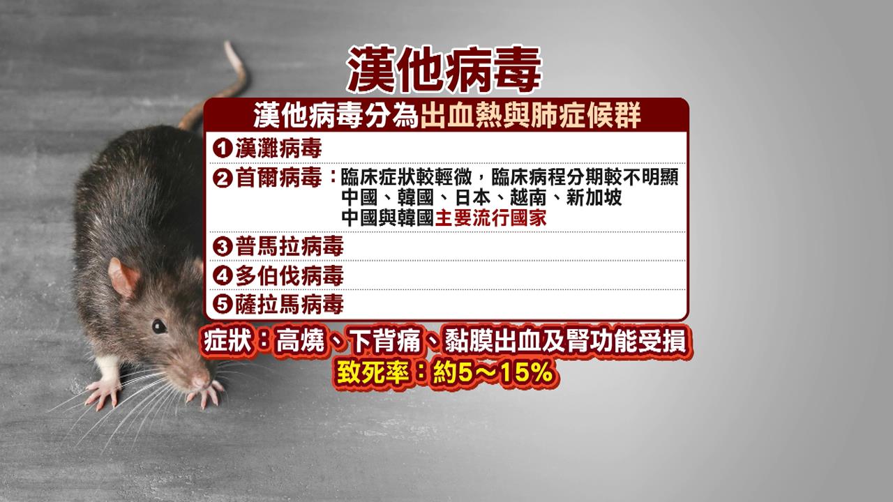 勿恐慌！　基隆爆第３例本土漢他　醫師：首爾病毒株死亡率約１％