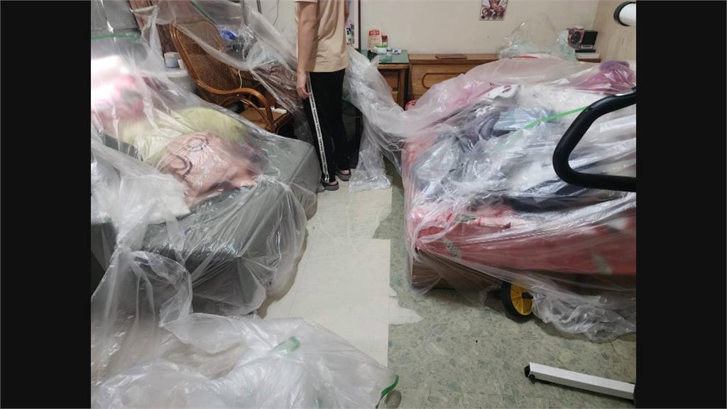拋下過世愛貓返家要噴藥防登革熱　熬夜整理卻接通知「不噴了」