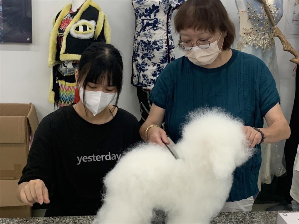 新生醫專美容科開寵物課程　培訓寵物美容師學習一技之長