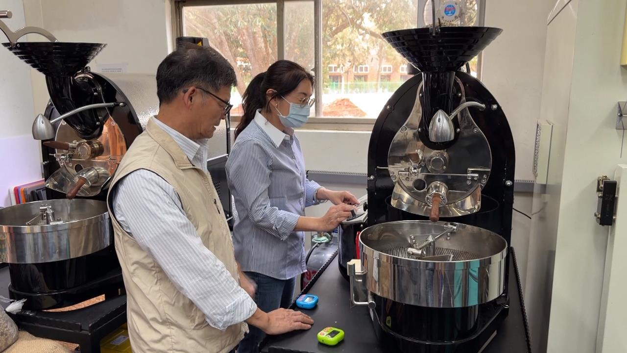 千坪咖啡園！暨南種1000棵咖啡樹　開設一條龍手沖咖啡課程