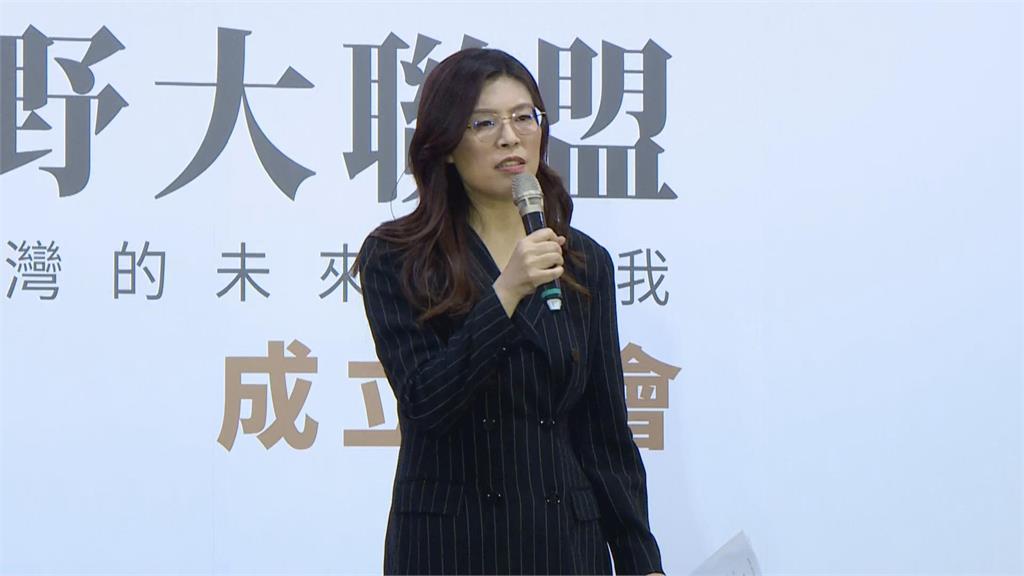 快新聞／陳之漢、區桂芝入列！鄭麗文設在野大聯盟反罷免　起立悼念林正杰